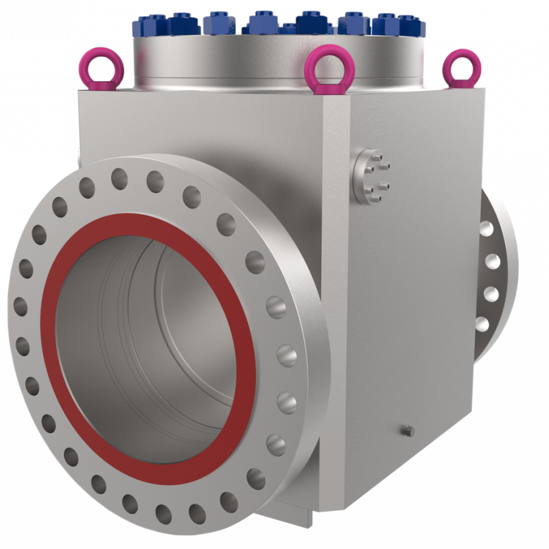 Swing check valve